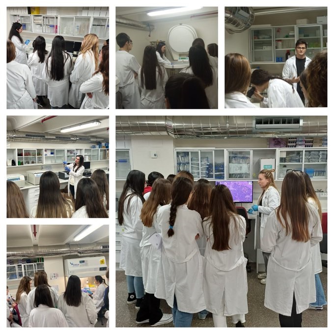 UN AÑO MÁS BIOBANCO PARTICIPA EN EL PROGRAMA 4ºESO+EMPRESA DE LA COMUNIDAD DE MADRID